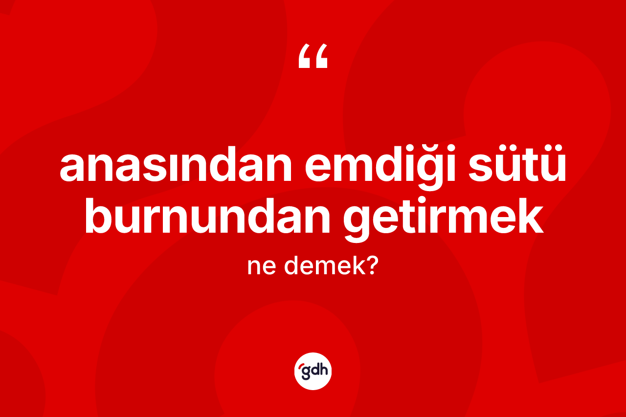 Anasından emdiği sütü burnundan getirmek ne demek?