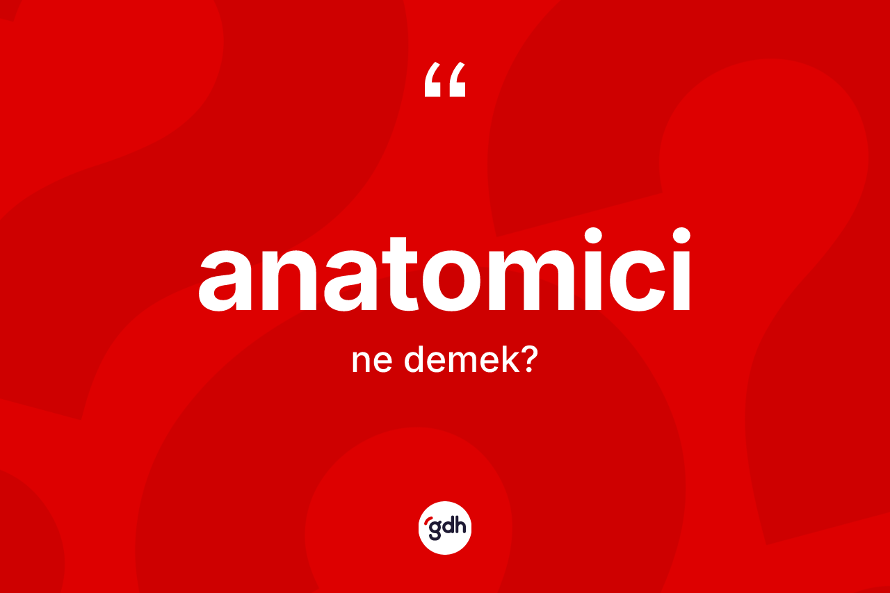 Anatomici nedir? Anatomici kelimesinin TDK'ya göre açıklaması nedir?