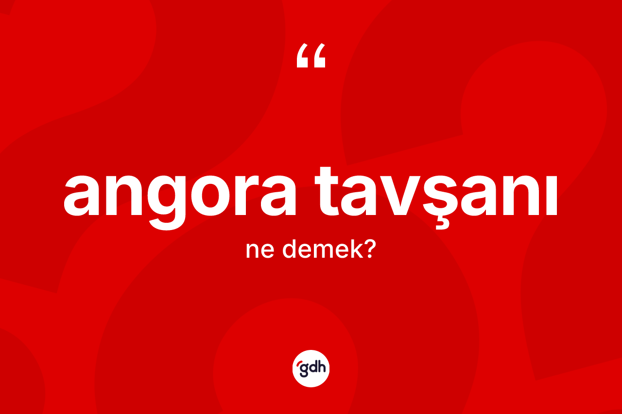 Angora tavşanı ne demek? Angora tavşanının halk arasındaki kullanımı nasıldır?