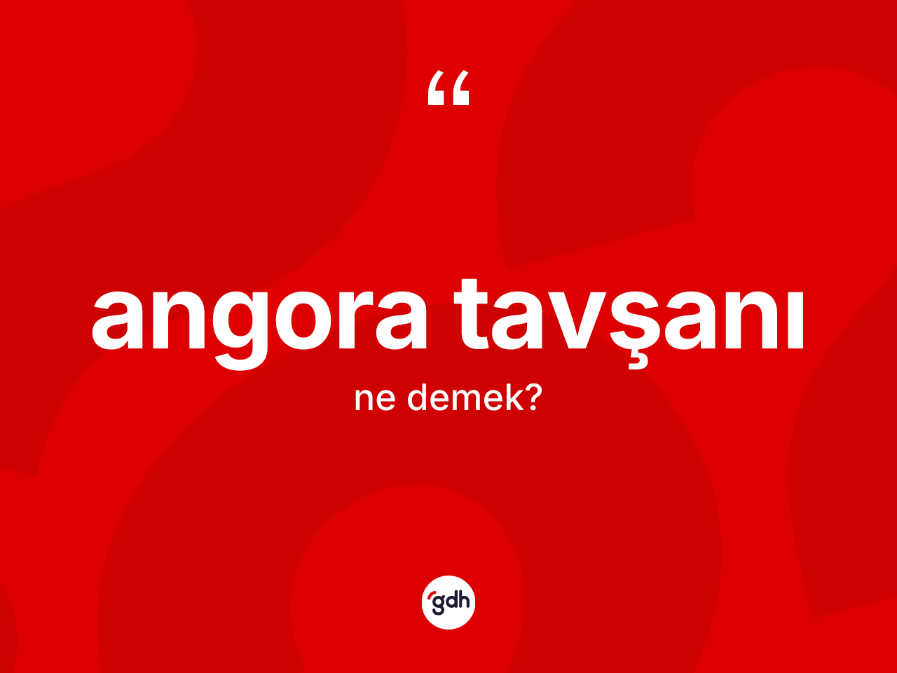 Angora tavşanı ne demek? Angora tavşanının halk arasındaki kullanımı nasıldır?