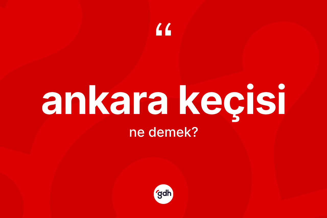 Ankara keçisi kelimesinin anlamı nedir?