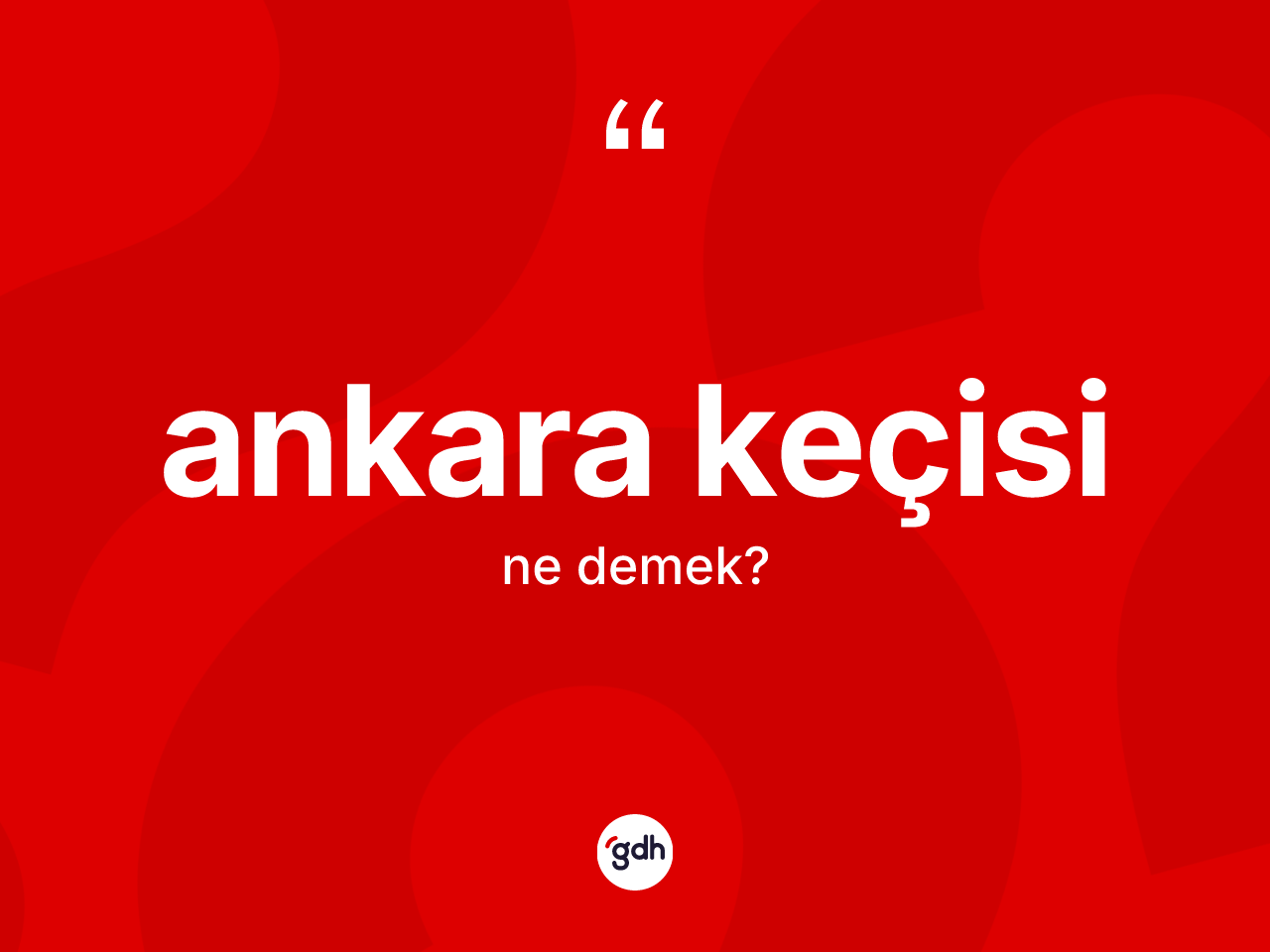 Ankara keçisi kelimesinin anlamı nedir? Ankara keçisi kelimesinin TDK'ya göre açıklaması nedir?