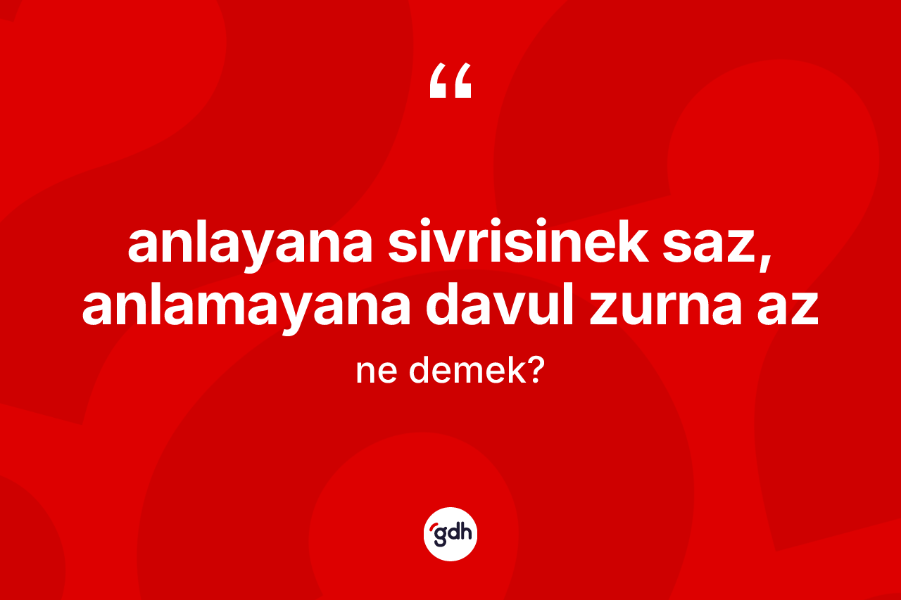Anlayana sivrisinek saz, anlamayana davul zurna az ifadesinin tanımı nedir?