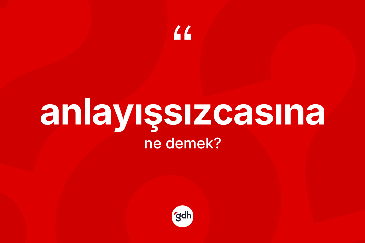 Anlayışsızcasına kelimesinin anlamı nedir? Anlayışsızcasına kelimesinin özellikleri nelerdir?
