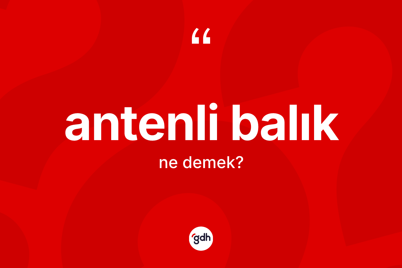 Antenli balık ne anlama gelir? Antenli balığın kısaca tanımı nedir?
