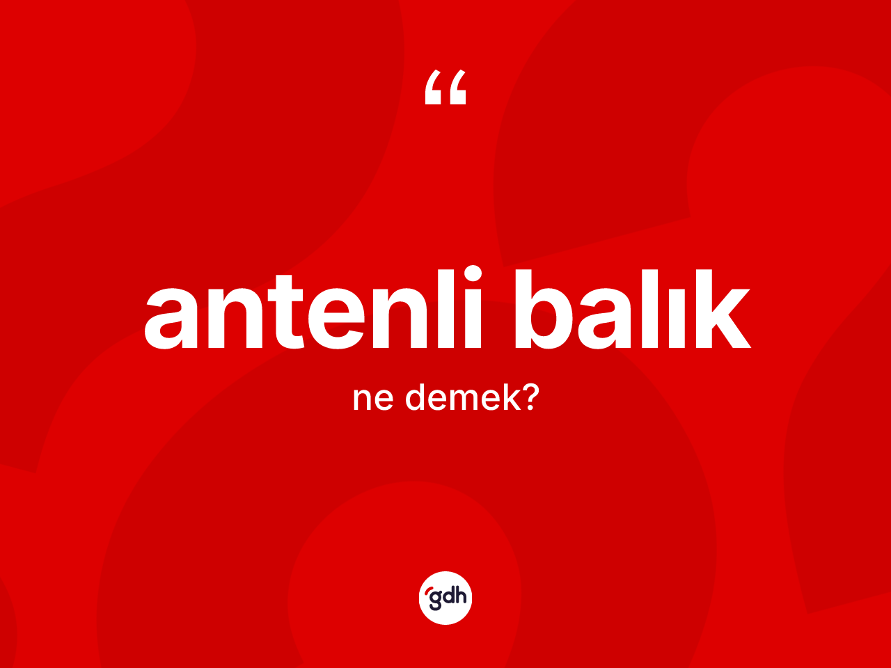 Antenli balık ne anlama gelir? Antenli balığın kısaca tanımı nedir?