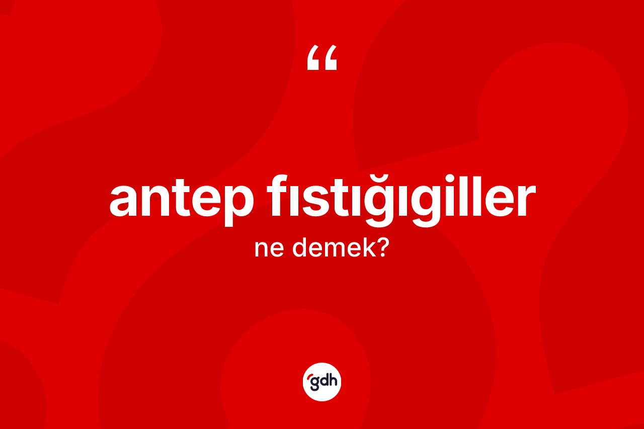 Antep fıstığıgiller kelimesinin sözlükteki tanımı nedir? Antep fıstığıgillerin halk arasındaki kullanımı nasıldır?