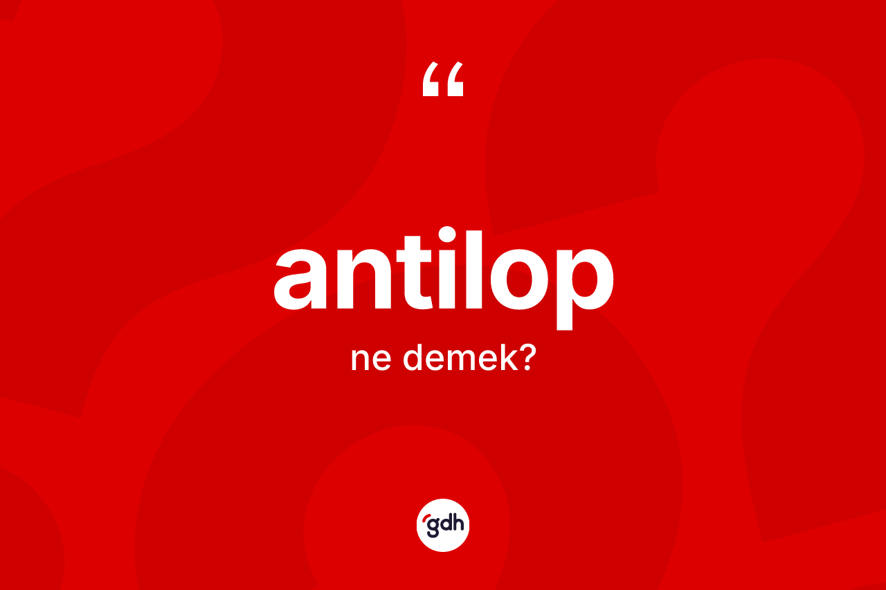 Antilop nedir? Antilop kelimesinin özellikleri nelerdir?