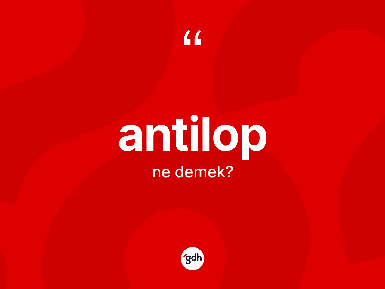 Antilop nedir? Antilop kelimesinin özellikleri nelerdir?