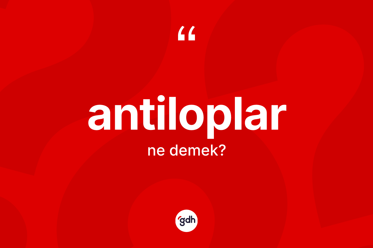 Antiloplar nedir? Antiloplar kelimesinin özellikleri nelerdir?
