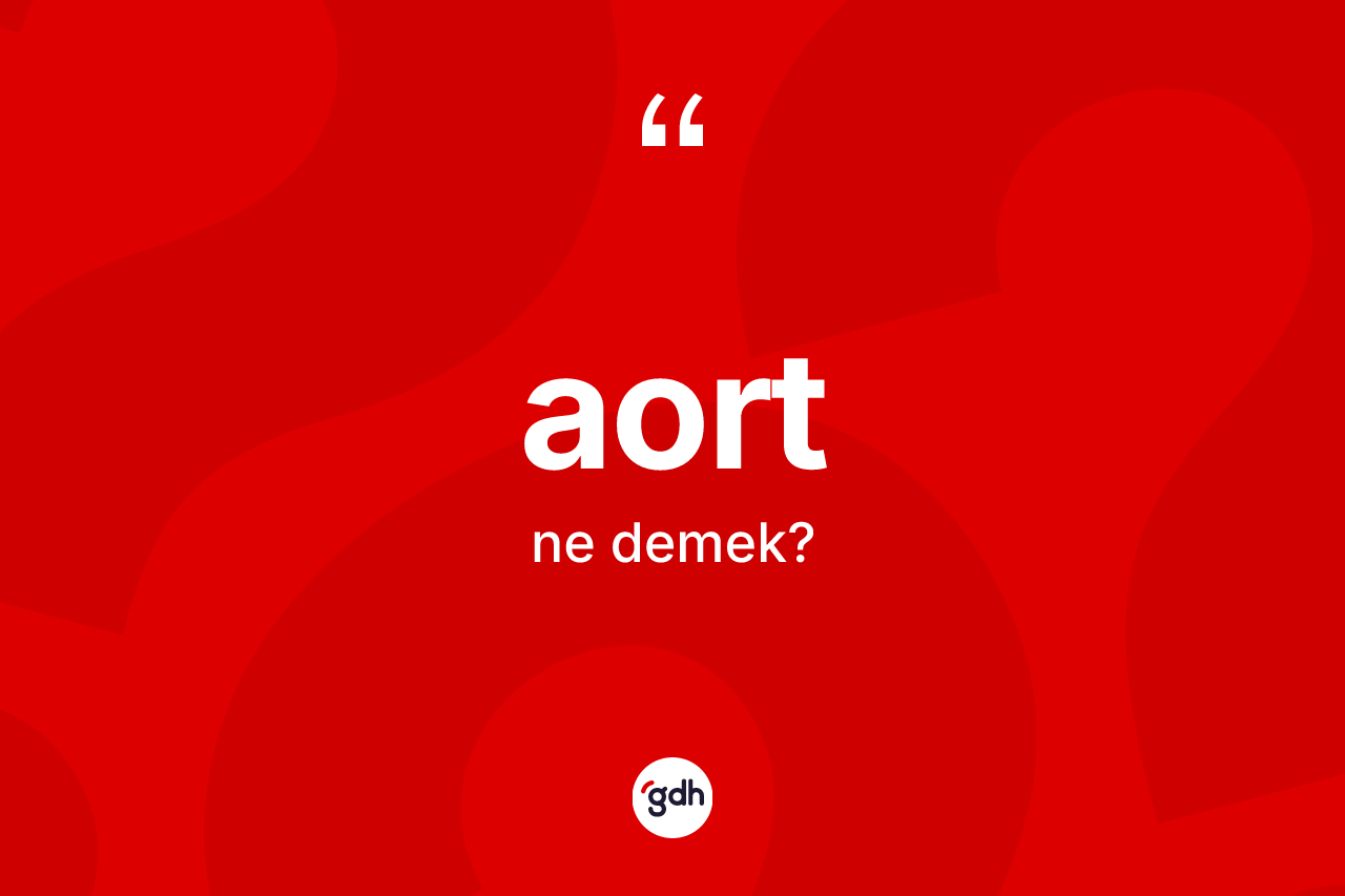 Aort ne anlama gelir?