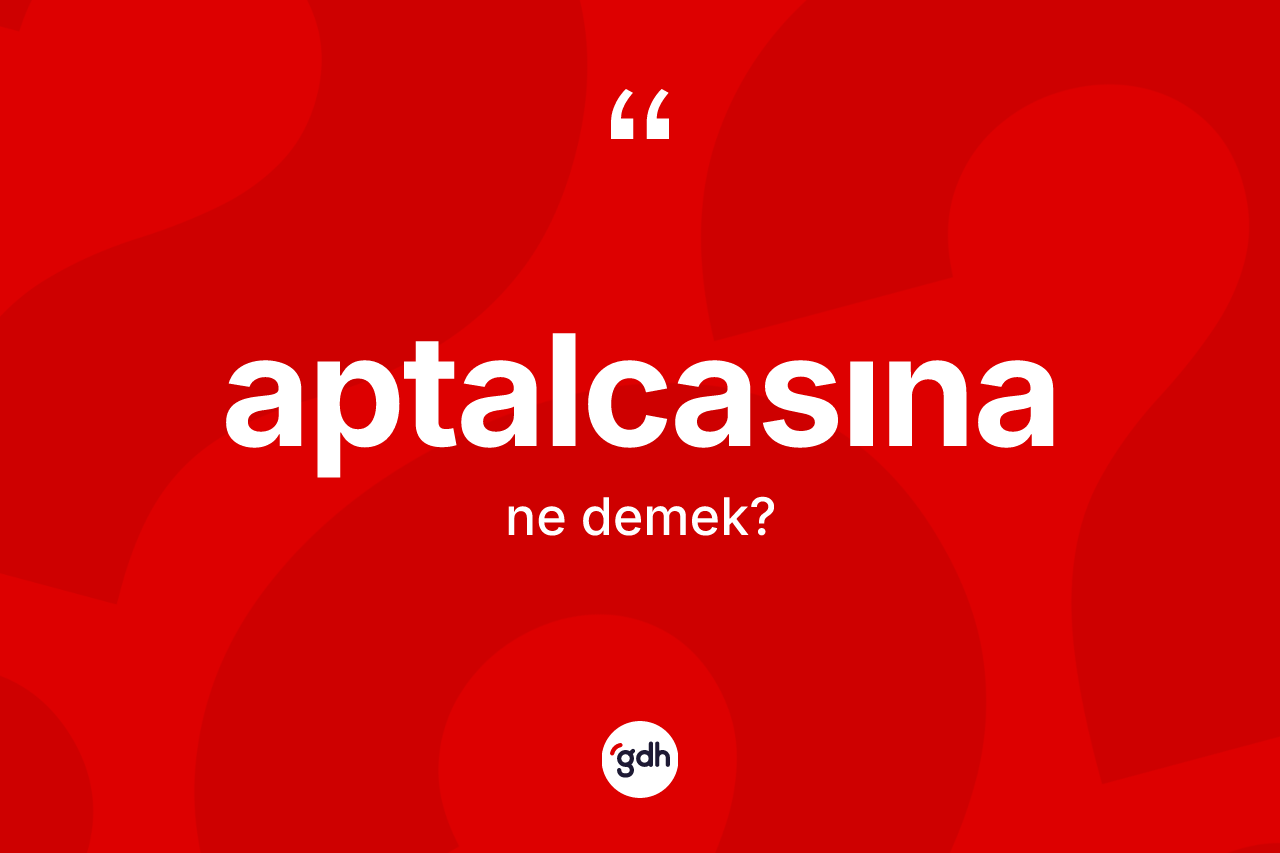 Aptalcasına kelimesi ne demek? Aptalcasınanın TDK'ya göre anlamı nedir?