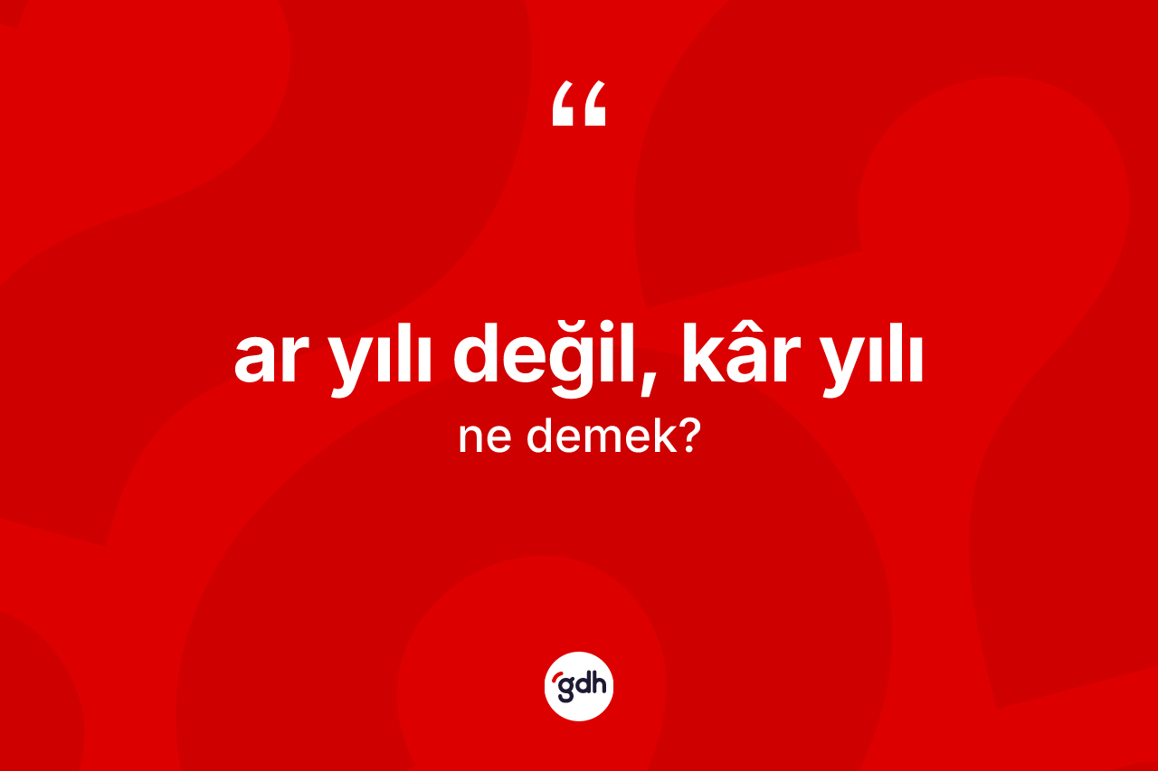 Ar yılı değil, kâr yılı ne demek? Ar yılı değil, kâr yılı ifadesinin TDK'ya göre açıklaması nedir?