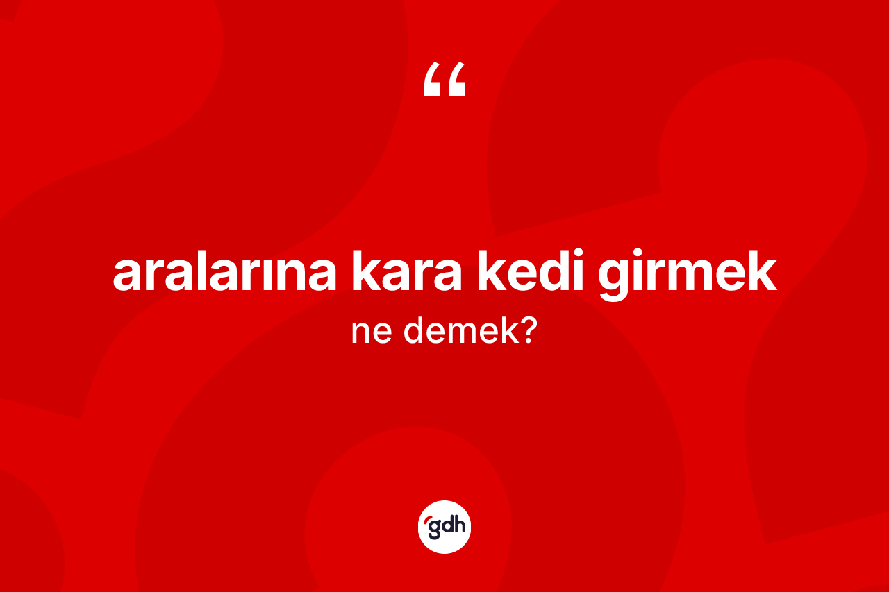 Aralarına kara kedi girmek ne demek?