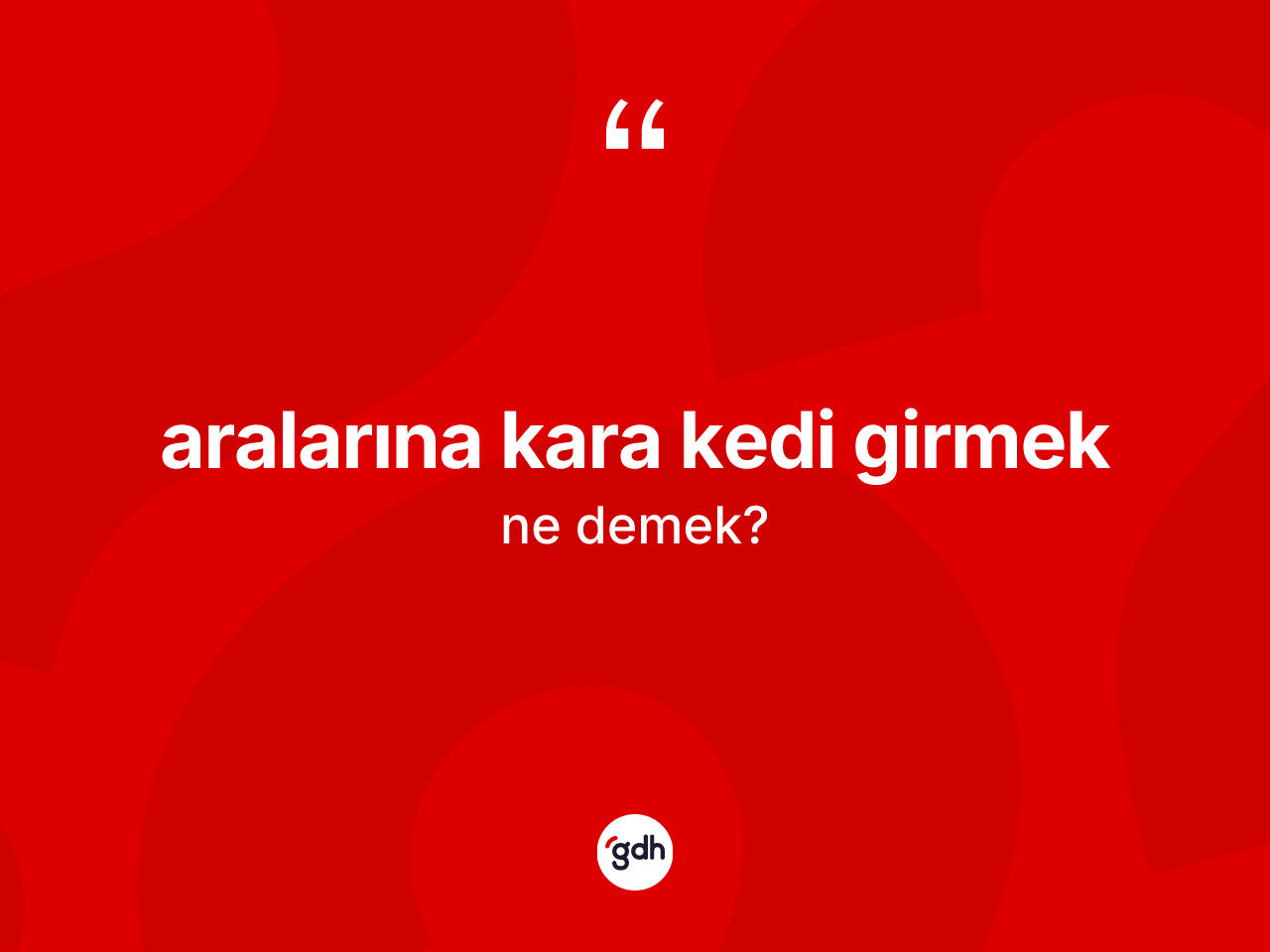 Aralarına kara kedi girmek ne demek? Aralarına kara kedi girmek sözü nerede kullanılır?