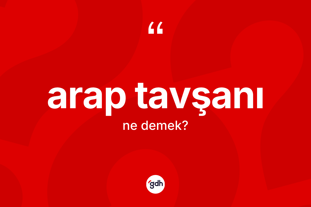 Arap tavşanı kelimesinin tanımı nedir?