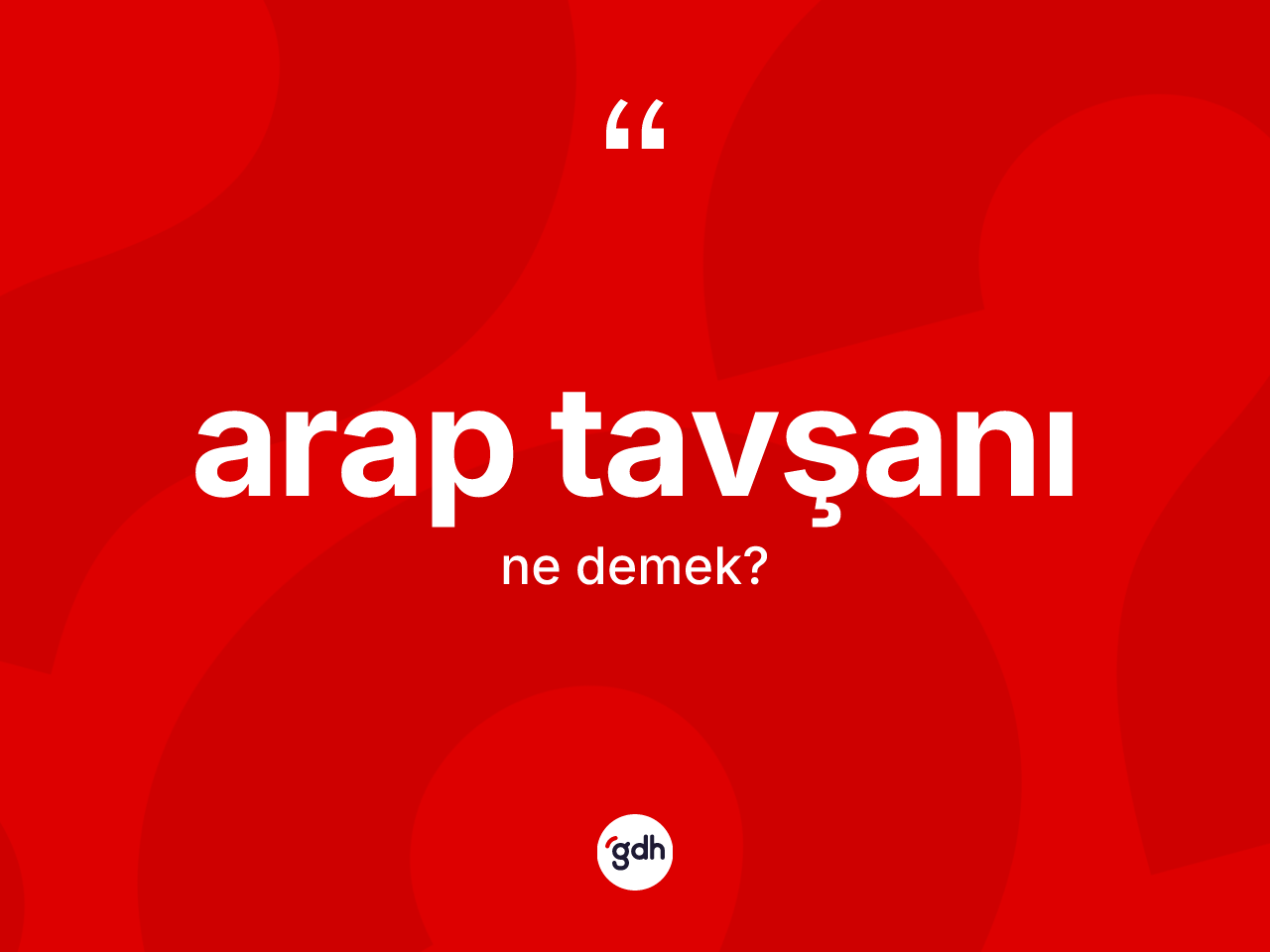 Arap tavşanı kelimesinin tanımı nedir? Arap tavşanının TDK'ya göre anlamı nedir?