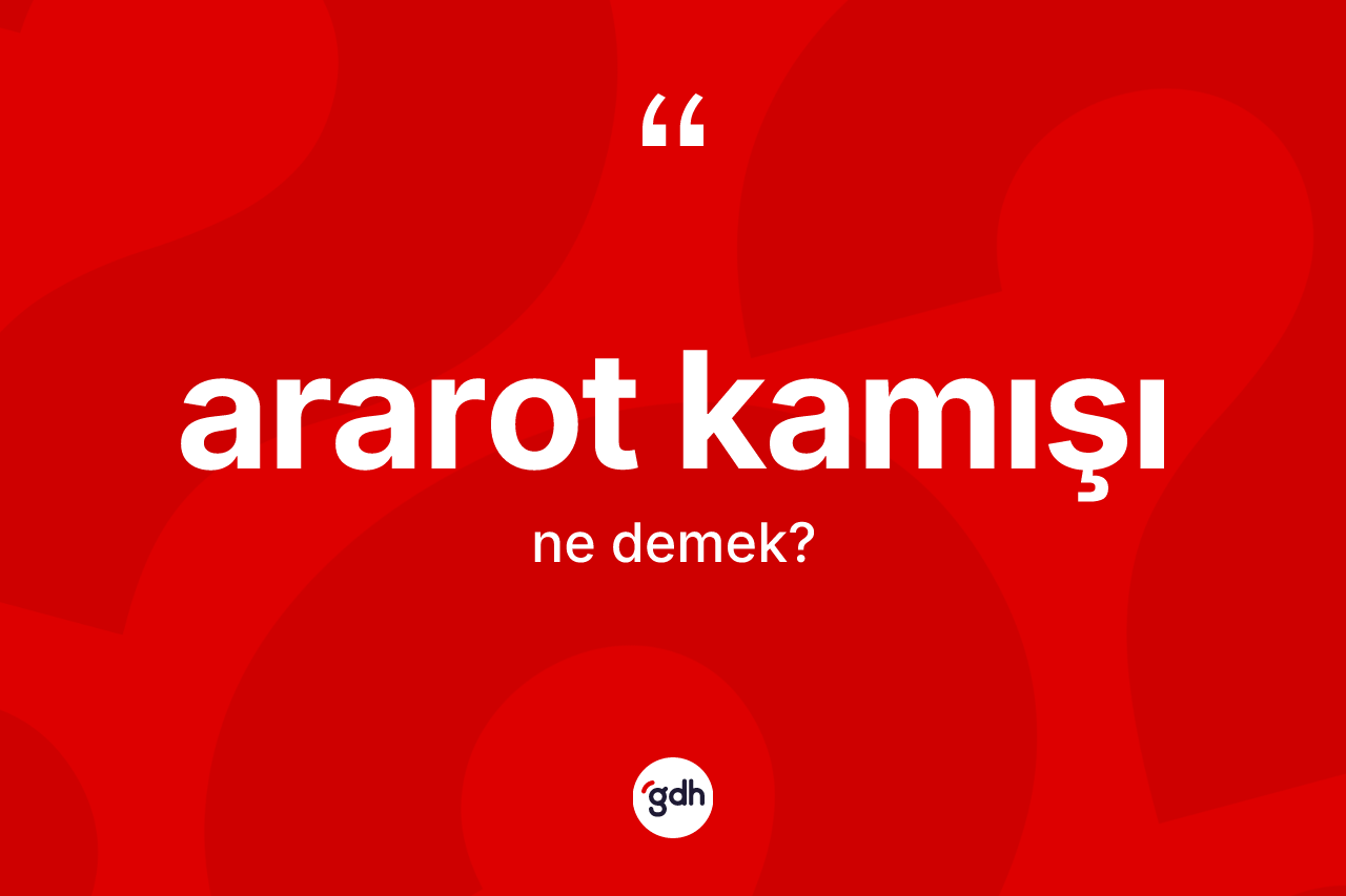 Ararot kamışı kelimesinin sözlükteki tanımı nedir? Ararot kamışı kelimesinin TDK'ya göre açıklaması nedir?