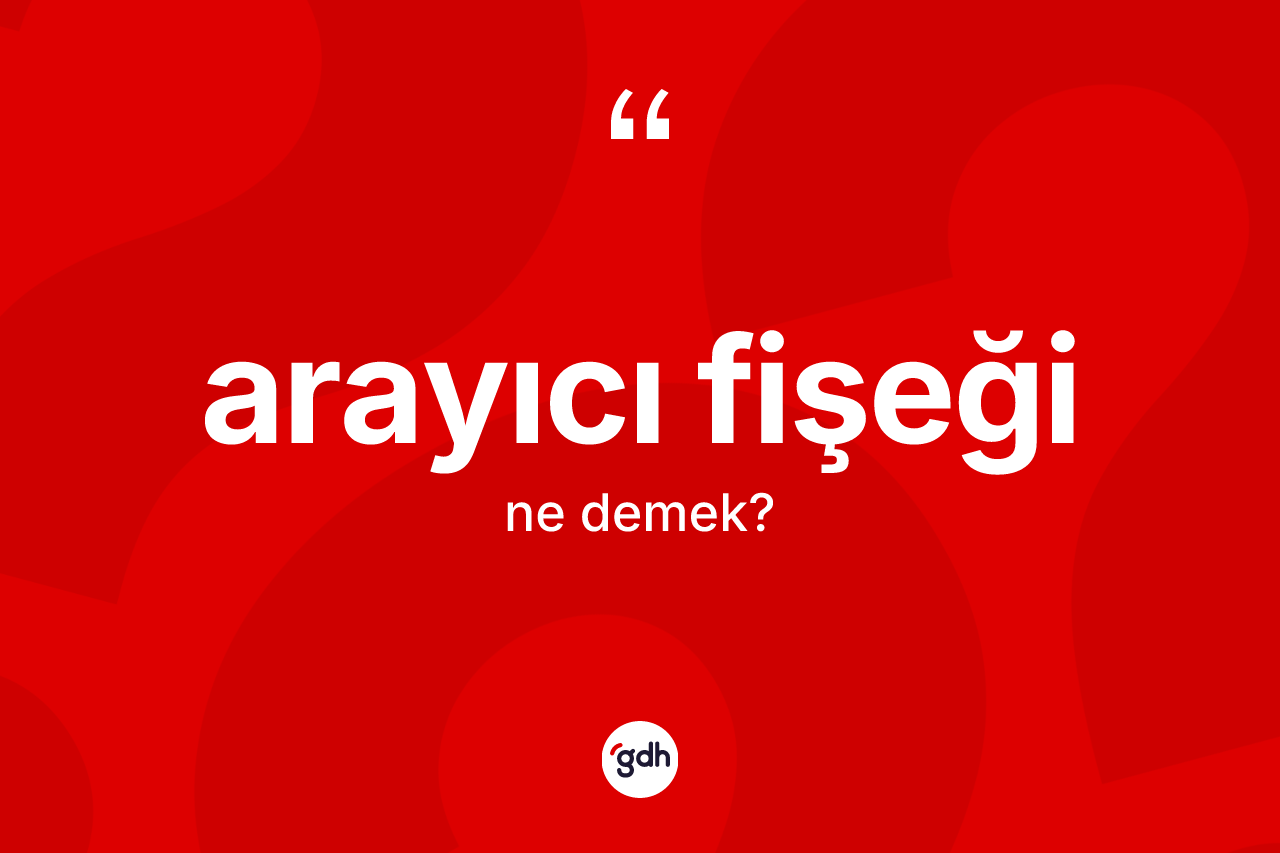 Arayıcı fişeği kelimesinin tanımı nedir?