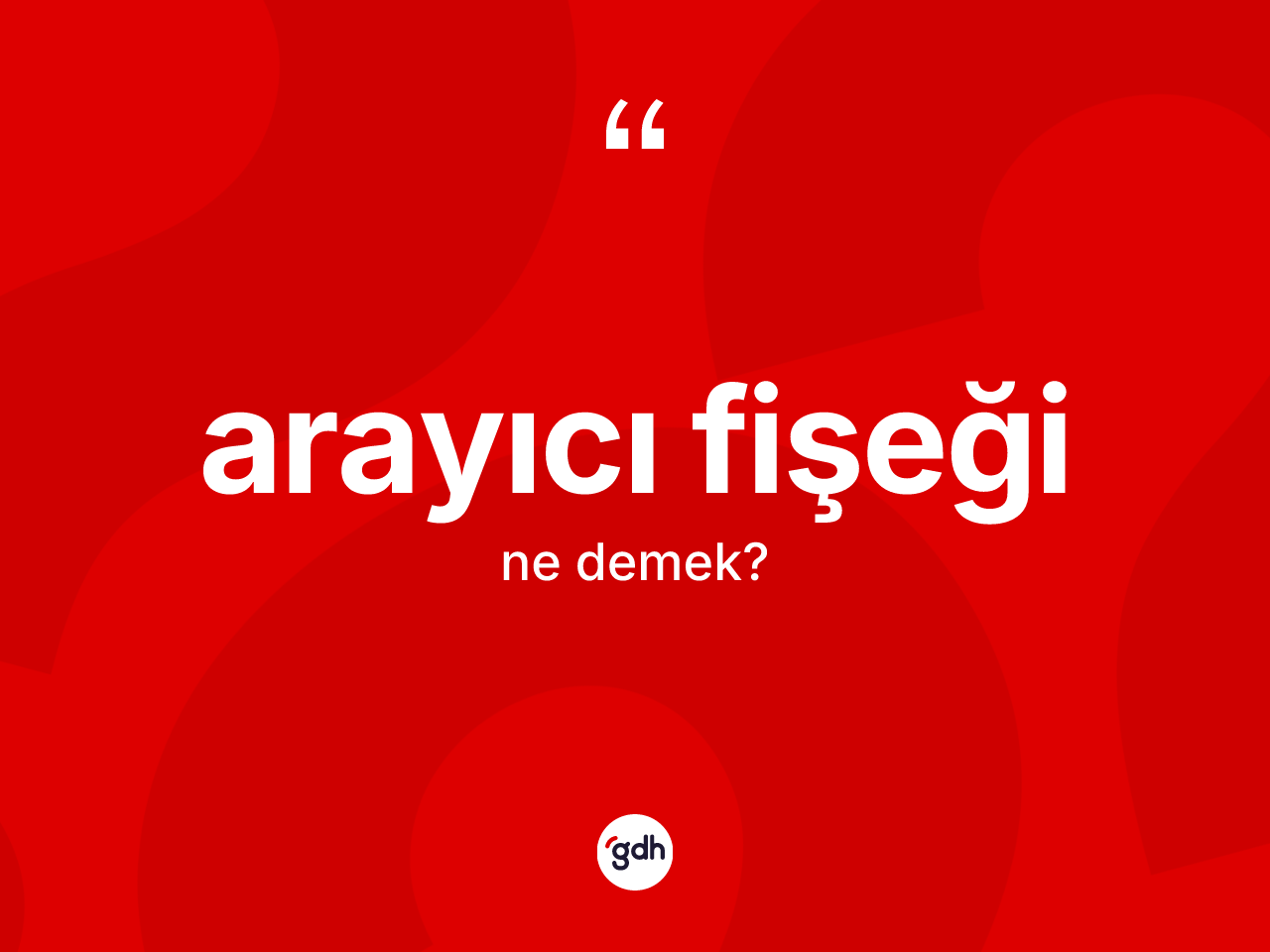 Arayıcı fişeği kelimesinin tanımı nedir? Arayıcı fişeği kelimesinin özellikleri nelerdir?