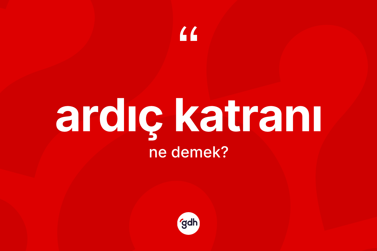 Ardıç katranı kelimesinin tanımı nedir?