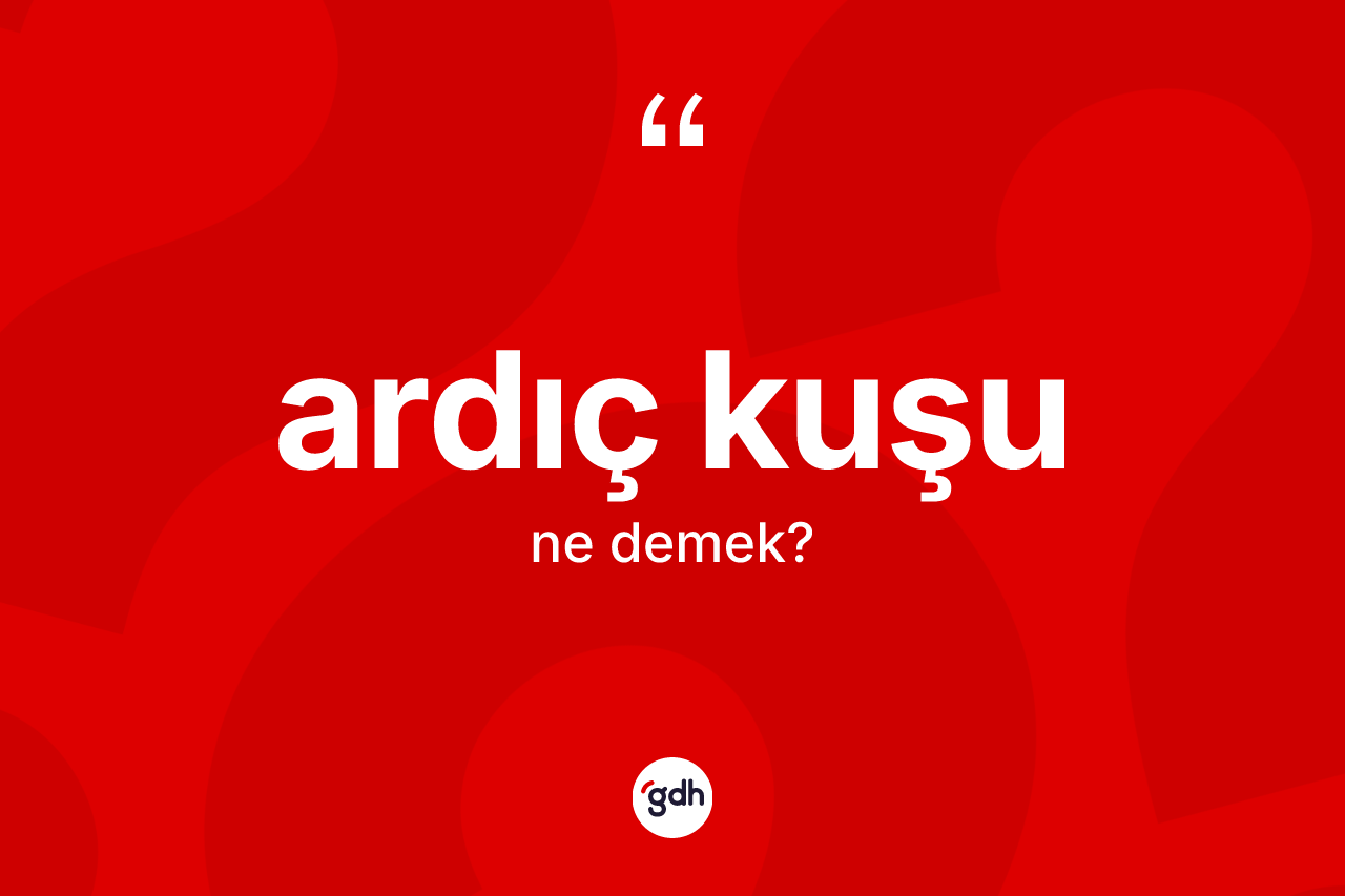 Ardıç kuşu kelimesi nedir? Ardıç kuşunun kısaca tanımı nedir?