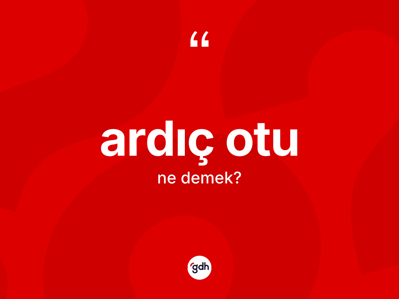 Ardıç otu kelimesinin sözlükteki tanımı nedir? Ardıç otunun halk arasındaki kullanımı nasıldır?