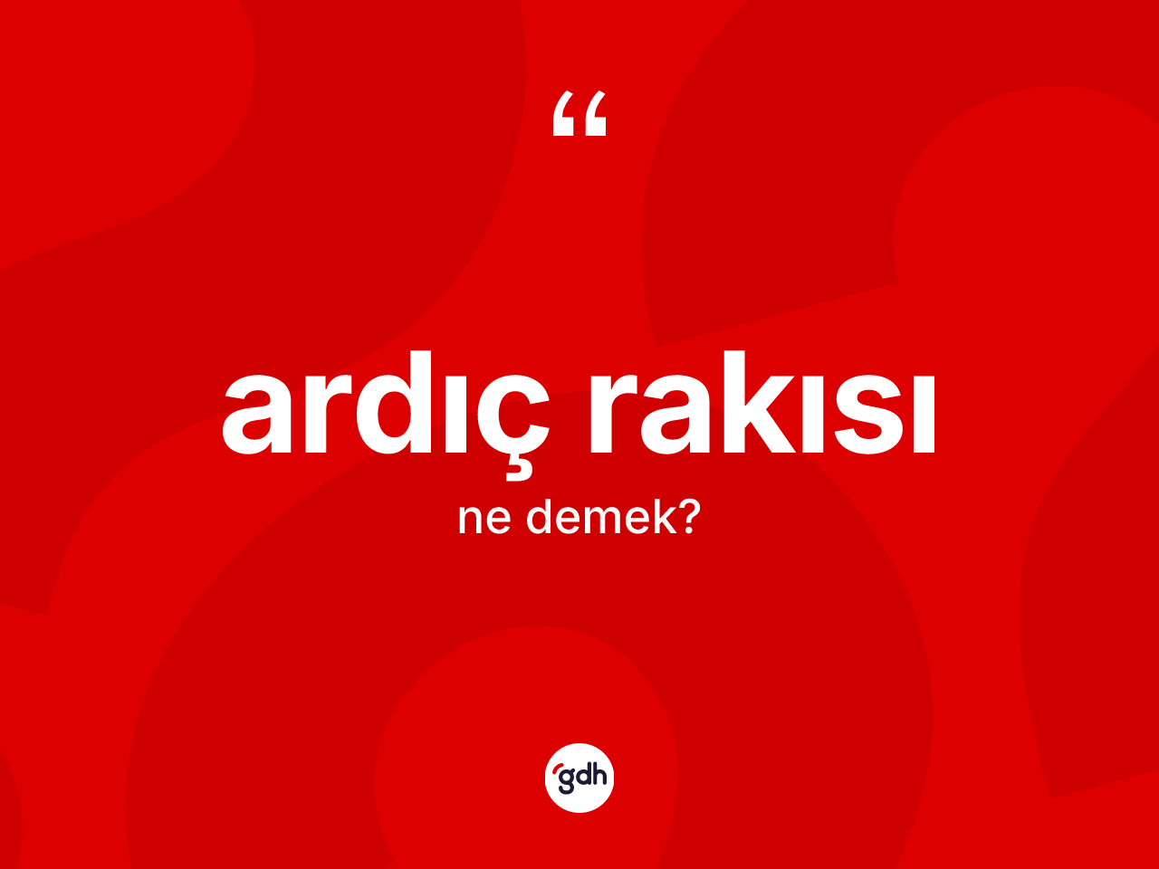 Ardıç rakısı kelimesinin anlamı nedir? Ardıç rakısının TDK'ya göre anlamı nedir?