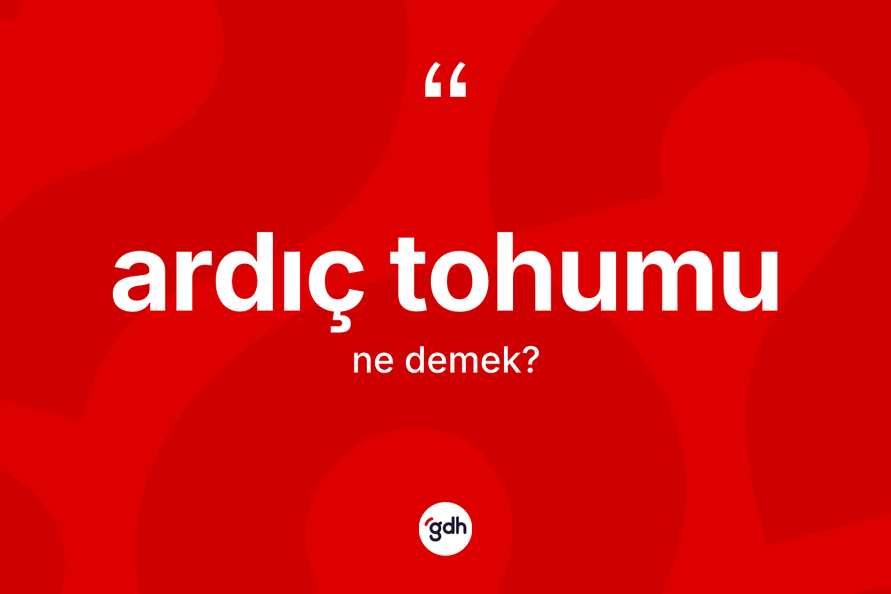 Ardıç tohumu kelimesinin anlamı nedir? Ardıç tohumunun sözlükteki anlamı nedir?