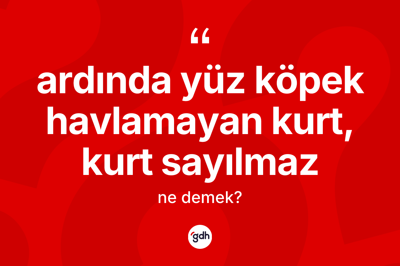 Ardında yüz köpek havlamayan kurt, kurt sayılmaz deyimi ne anlama gelir?