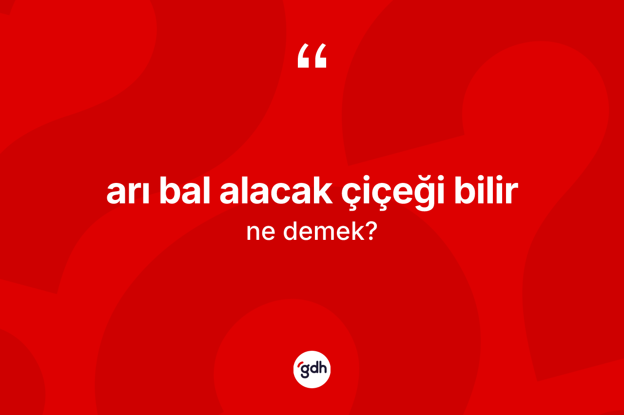 Arı bal alacak çiçeği bilir ifadesinin anlamı nedir?