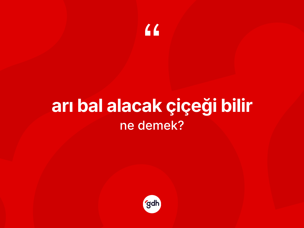 Arı bal alacak çiçeği bilir ifadesinin anlamı nedir? Arı bal alacak çiçeği bilir sözünün sözlük anlamı nedir?