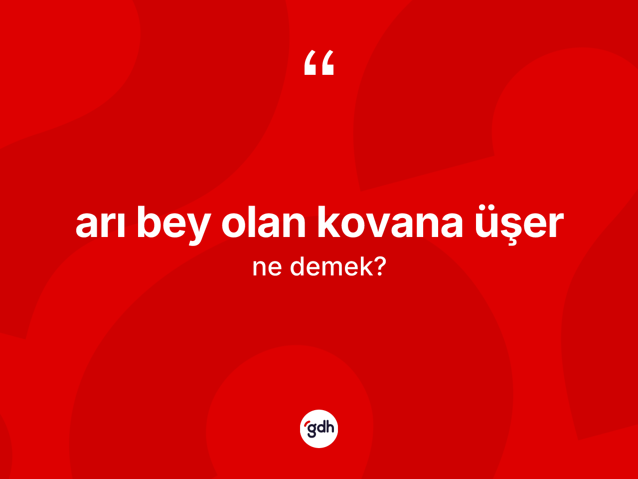 Arı bey olan kovana üşer ne demektir? Arı bey olan kovana üşer ifadesinin TDK açıklaması nedir?