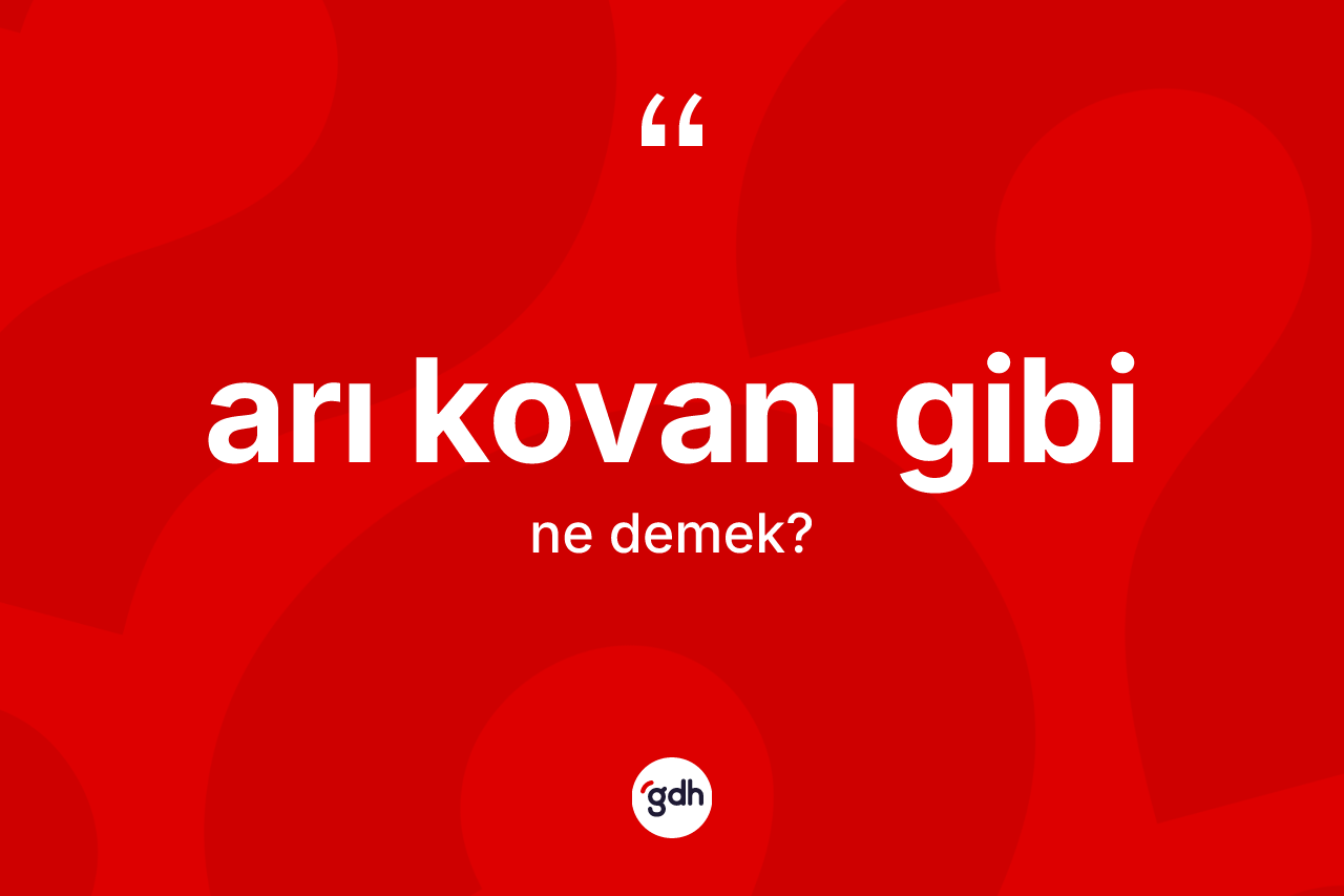 Arı kovanı gibi ne anlama gelir?