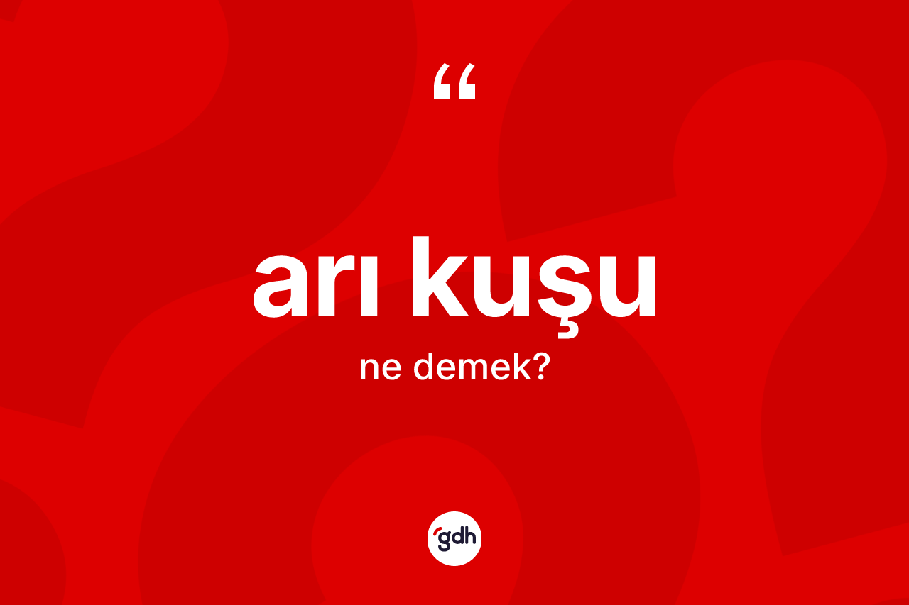 Arı kuşu kelimesi ne demek?