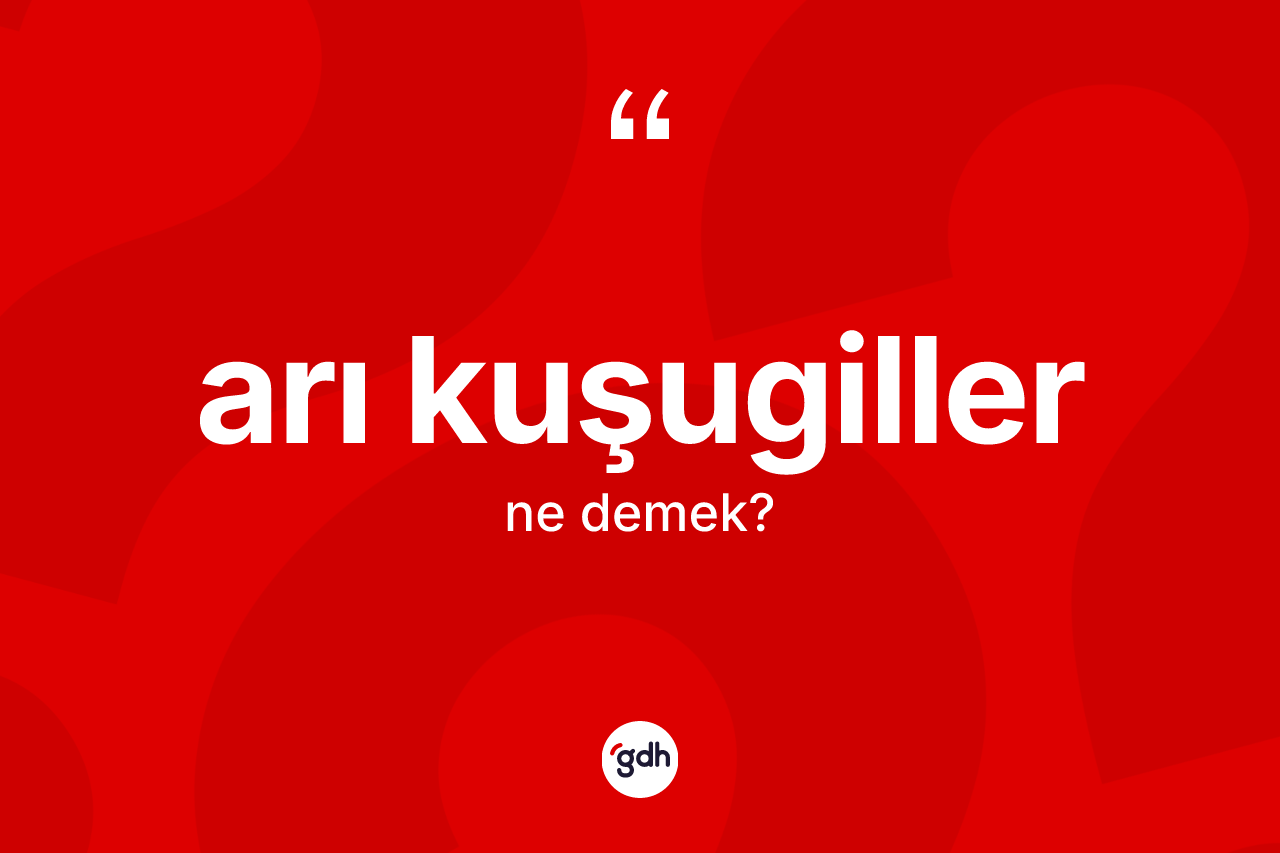 Arı kuşugiller kelimesinin tanımı nedir?