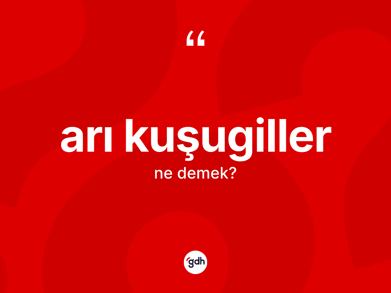 Arı kuşugiller kelimesinin tanımı nedir? Arı kuşugiller kelimesinin özellikleri nelerdir?