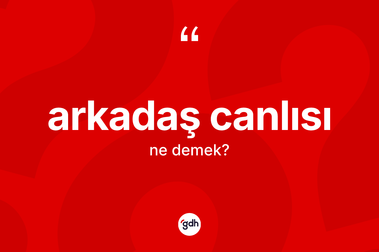 Arkadaş canlısı kelimesi nedir?