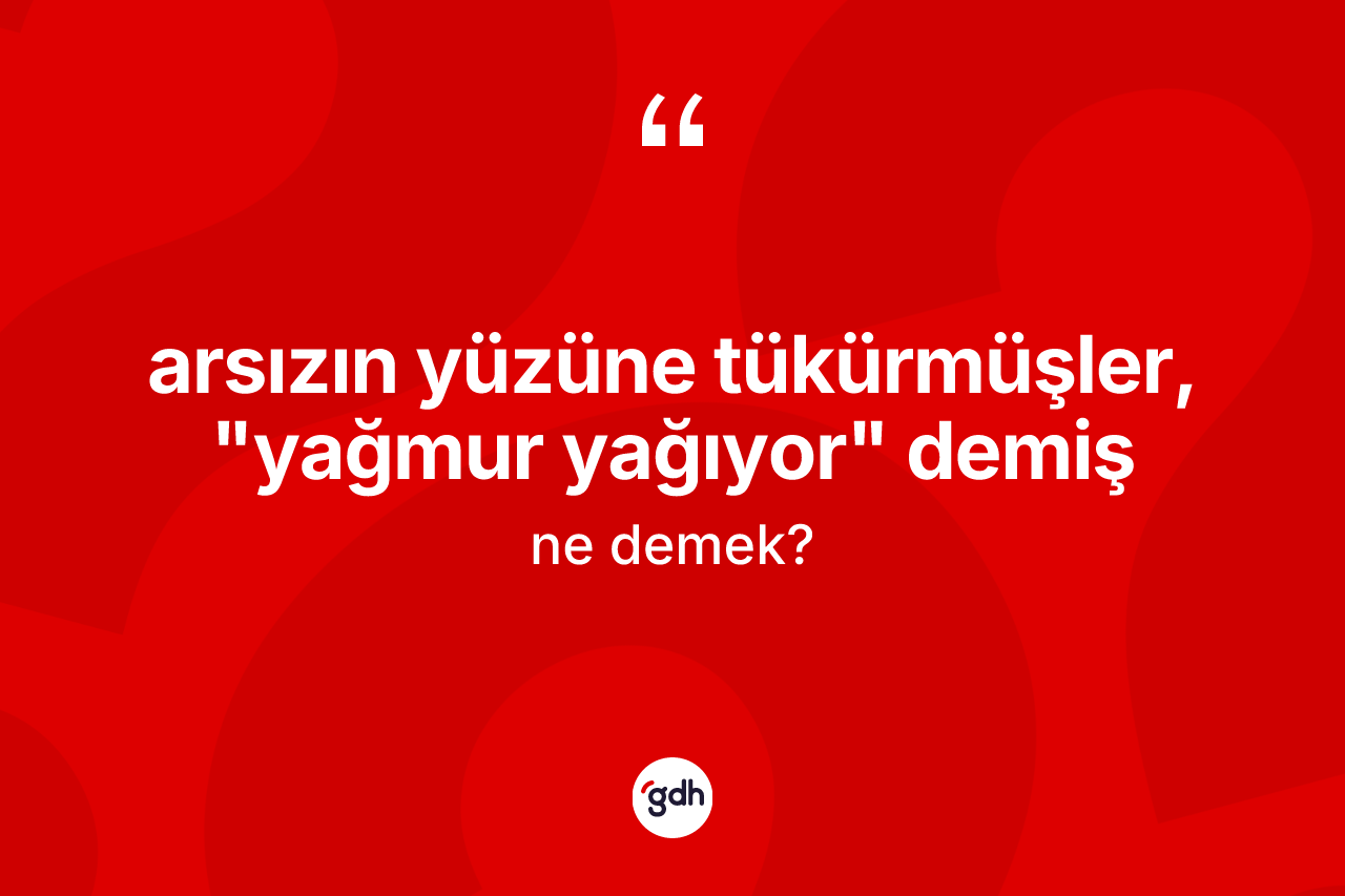 Arsızın yüzüne tükürmüşler, "yağmur yağıyor" demiş ifadesinin kısaca anlamı nedir?