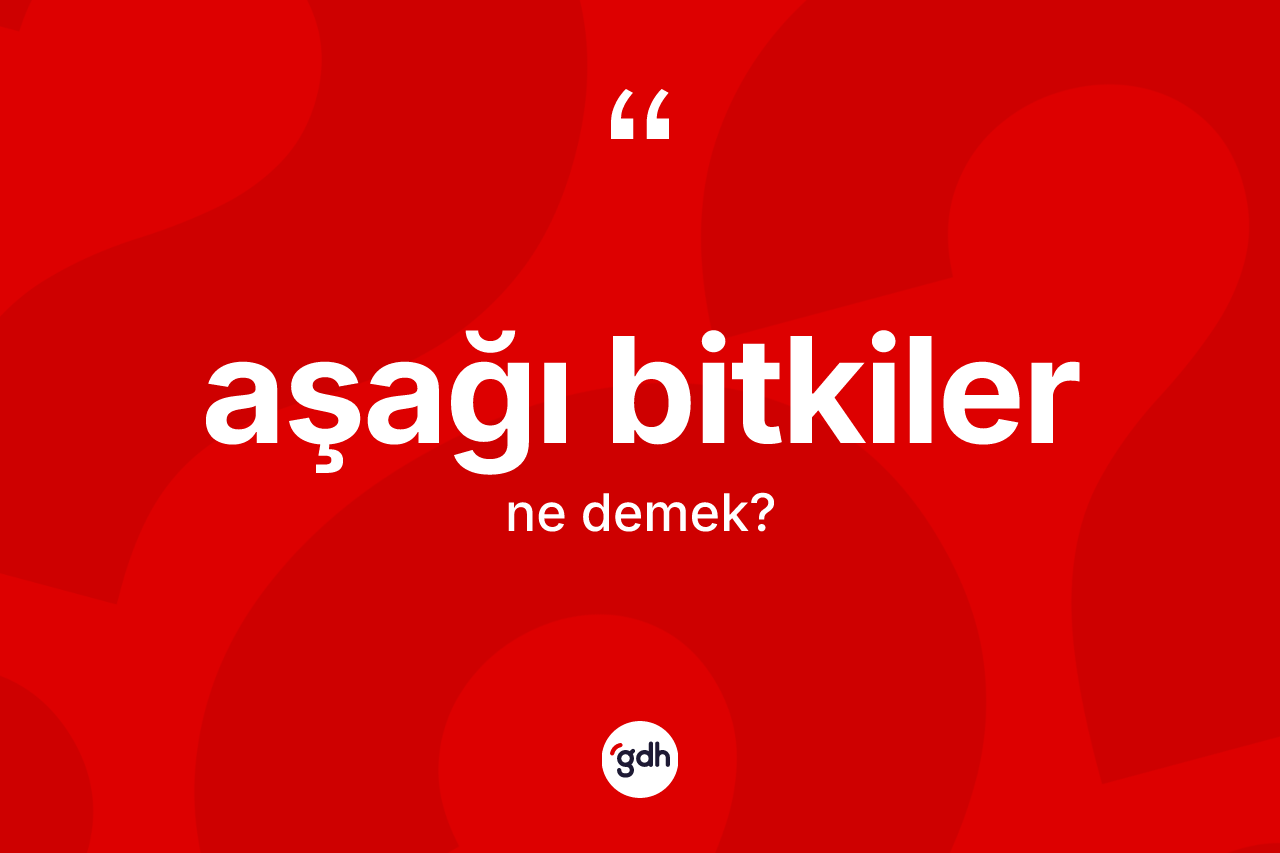 Aşağı bitkiler kelimesinin anlamı nedir?