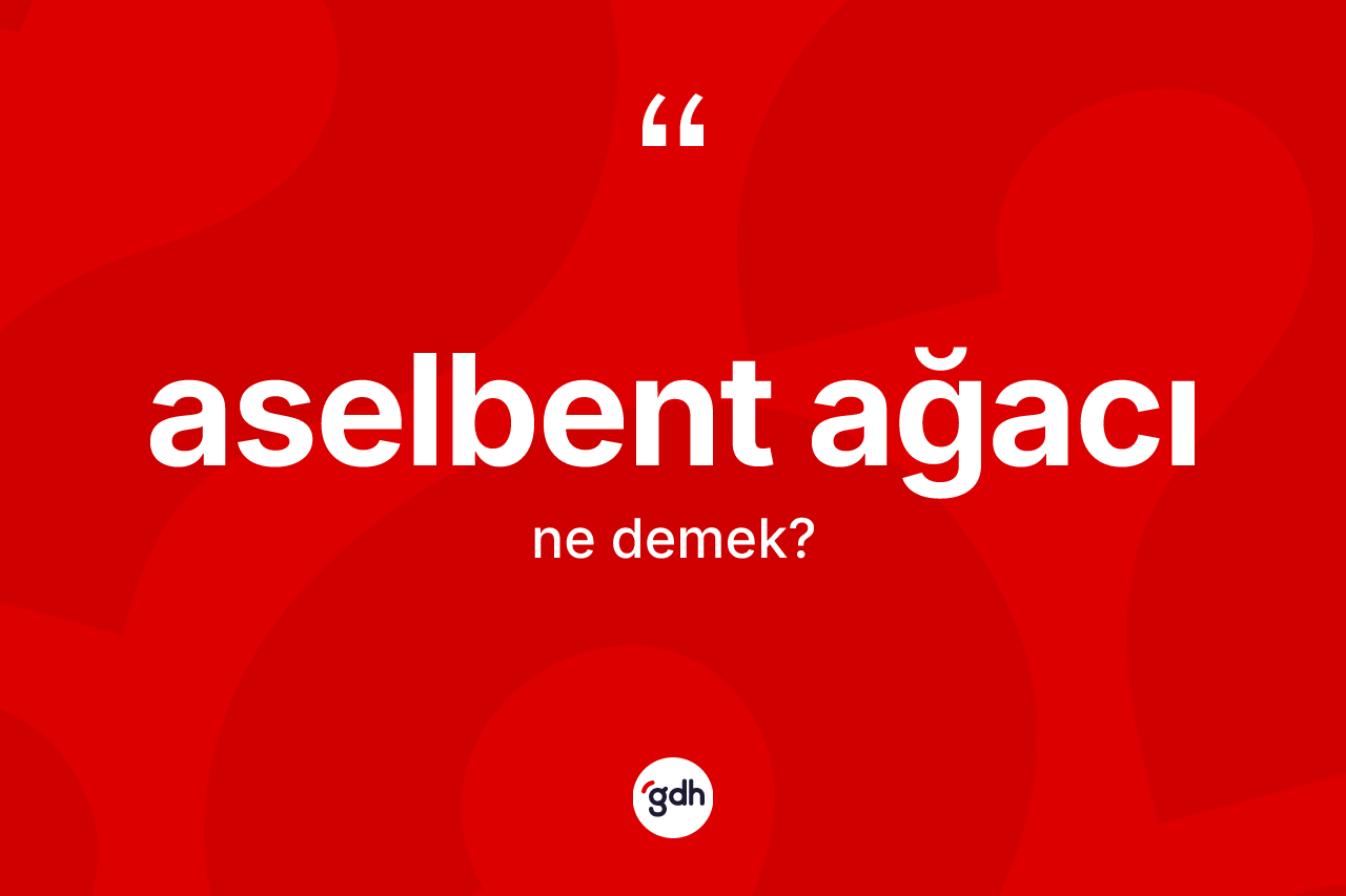 Aselbent ağacı kelimesi ne demek? Aselbent ağacı kelimesinin TDK anlamı nedir?