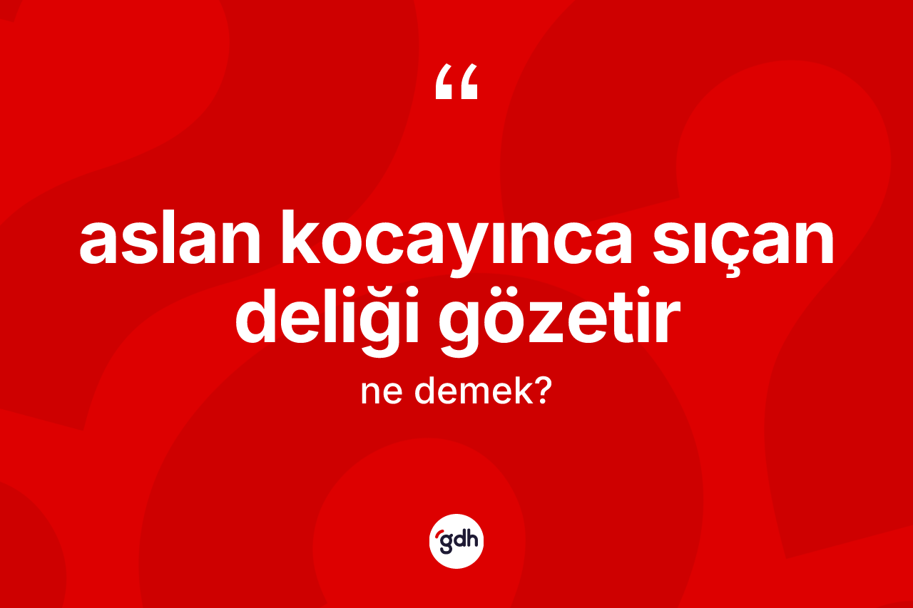 Aslan kocayınca sıçan deliği gözetir ifadesinin sözlükteki anlamı nedir?