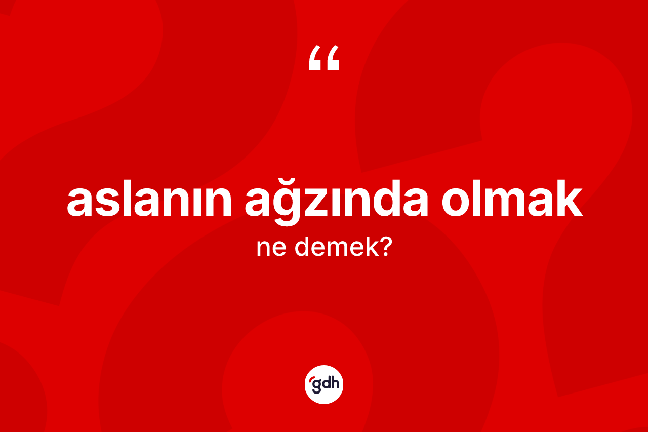 Aslanın ağzında olmak ifadesinin anlamı nedir?