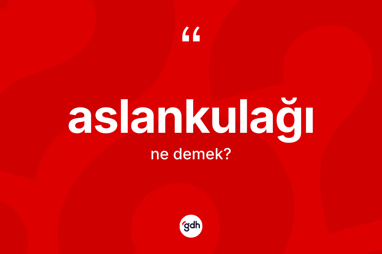 Aslankulağı ne demek?