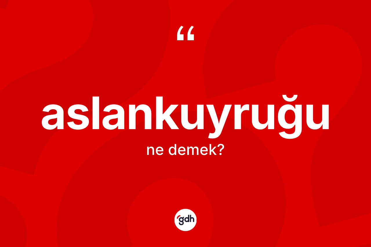 Aslankuyruğu nedir? Aslankuyruğunun halk arasındaki kullanımı nasıldır?