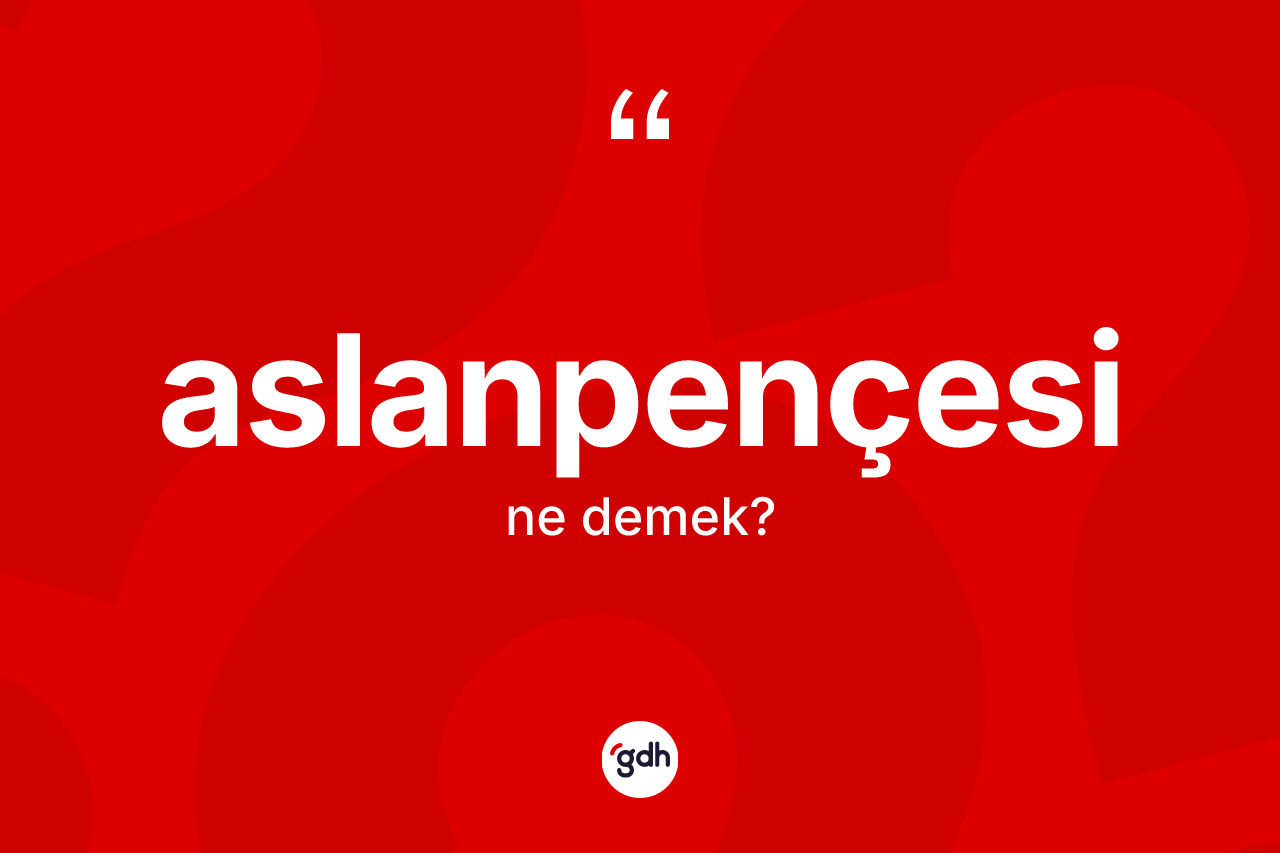 Aslanpençesi ne demek? Aslanpençesinin sözlükteki anlamı nedir?