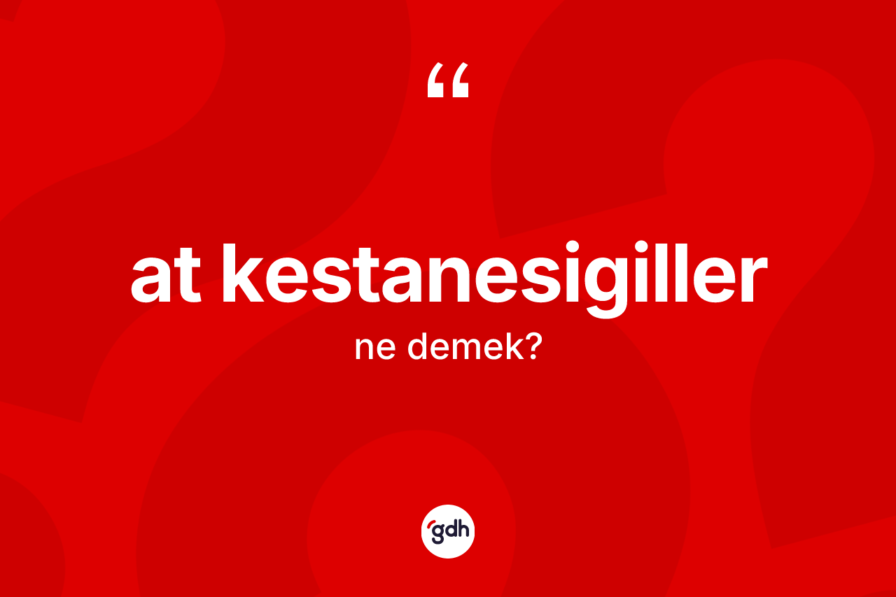 At kestanesigiller kelimesinin tanımı nedir?