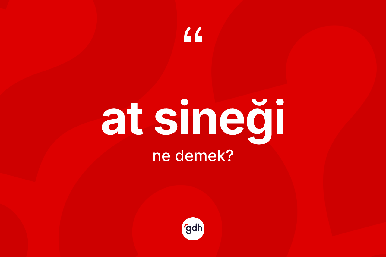 At sineği kelimesinin anlamı nedir?