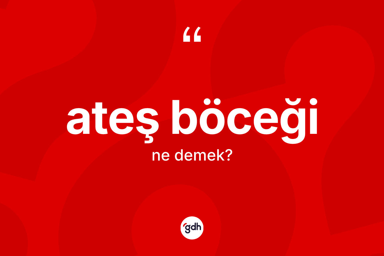 Ateş böceği ne anlama gelir?