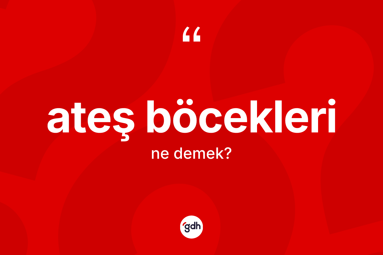 Ateş böcekleri kelimesinin sözlükteki tanımı nedir?